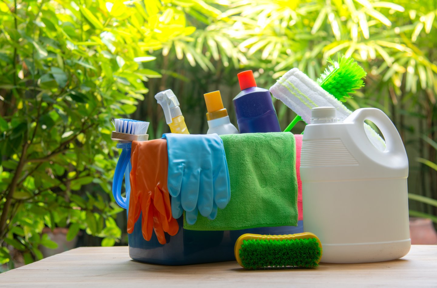 Eco Cleaning Florida Home
