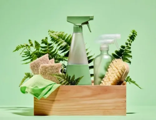 Eco-Friendly Cleaning Florida – Is It Worth It?