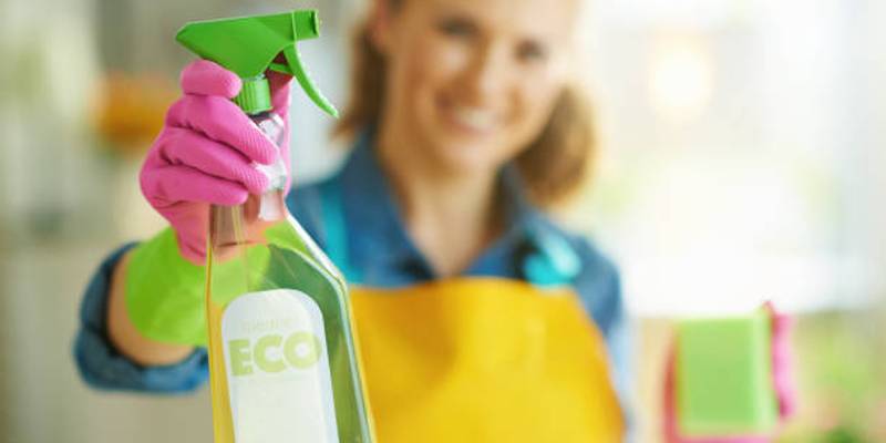 Eco-Friendly Cleaning in Florida