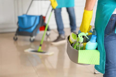 Eco Cleaning Services in Florida