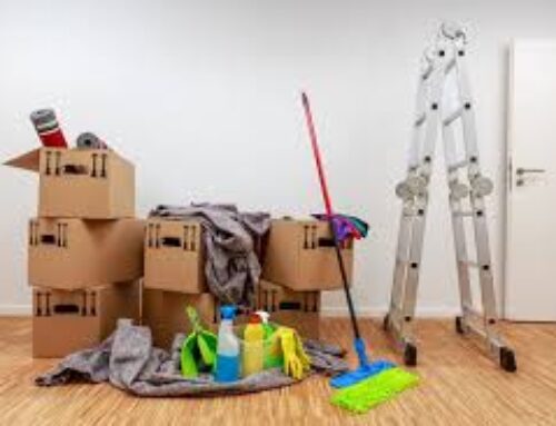 Move Clean Tampa: Professional Cleaning Before and After Moving