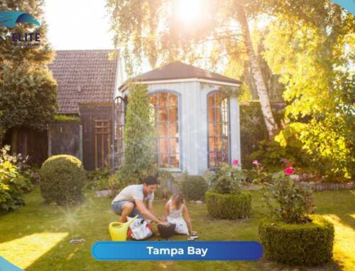 Summer House Cleaning Tips for a Fresher Home