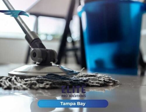 Commercial Floor Cleaning Services in Tampa Bay