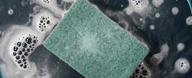 Professional deep cleaning for offices in Tampa Bay