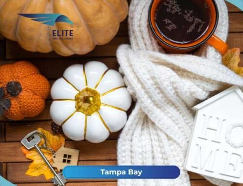 Fall Cleaning in Tampa Bay: What Florida Homes Need